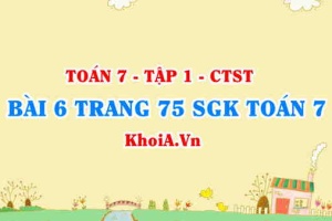 Bài 6 trang 75 SGK Toán 7 Chân trời sáng tạo tập 1